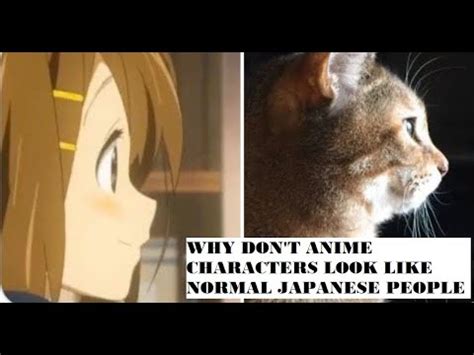 anime modeled after cats|japanese vs cat anime.